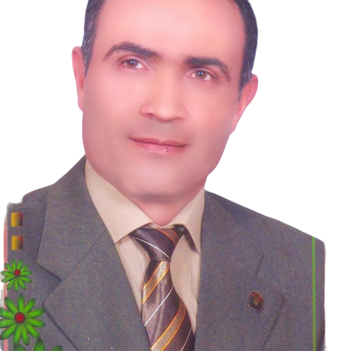 Mohsen Haseb El said Ahmed